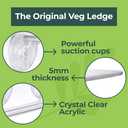 Window Garden Suction Cup Window Shelf - Set of 2-5mm Acrylic Plate Holds Up to 7lbs - Space Saving Plant Shelf for Windows - Ideal for Herbs Flowers Microgreens - 15.1" x 3.8" - White