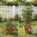 4 Pack Garden Tomato Cage for Pots, 24" Metal Tomatoes Cages Plant Support with Stable Support Rings (24")