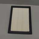 ECOGARD XA10596 Premium Engine Air Filter Fits 2016-2022 Lexus RX450h, 2017-2019 Toyota Highlander, 2018-2022 Lexus RX450hL, 2012 LFA