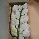 Htmeing 38 Inch Artificial Phalaenopsis Flowers Branches Real Touch (Not Silk) Orchids Flowers for Home Office Wedding Decoration,Pack of 2 (White)