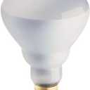 Philips Phillips Soft White 65-Watt BR30 Indoor Flood Light Bulb, (12 Pack)