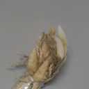 Natural Pampas Grass 8kind Grass Mix Bouquet | Dried Pampas Bouquet for Wedding Boho Flowers Home Table Decor Desk Decor, Rustic Farmhouse Decor (93PCS)