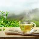 Bigelow Organic Decaffeinated Green Tea, 40 Count (Pack of 6), 240 Total Tea Bags