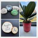 4 x EBOT Acrylic Paint Pen White Black, 6 Pack Black Paint Markers for Rock Wood Fabric Plastic Leather Glass Stone Metal Canvas,Water-Based Acrylic Paint Sets