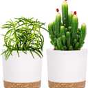 QCQHDU 5 inch Plant Pot, 2 Pack Planters for Indoor Plants with Drainage Holes & Saucer, Outdoor Flower Pots Home Garden Modern Decor (White)