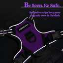 rabbitgoo Dog Harness No Pull with 2 Leash Clips, Adjustable Soft Padded, Reflective Oxford No Choke Pet Vest with Easy Control Handle for Puppy, Purple,XS