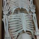 JOYIN 2PCS 36" Halloween Skeleton Decor, 3FT Full Body Stayable Movable Joints, Posable Hanging Skeletons for Halloween Decoration, Yard, Graveyard, Haunted House Props, Spooky Scene Party Favor (Yellow)