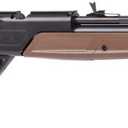 Crosman 760P Pump Master .177-Caliber Pellet/BB Air Rifle