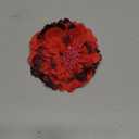 Bohemia Peony Flower Hair Clip Barrettes Wedding Bridal Bridesmaid Prom Party Hairpin Brooch Artificial Flower Headwear Hairpin (Color : g)