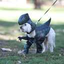 Calico, Pupasaurus Rex Dog Costume Large