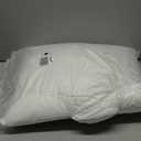 MIULEE Throw Pillow Insert Premium Pillow Stuffer Sham Rectangle for Decorative Cushion Bed Couch Sofa 12x20 Inch