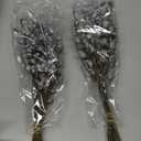 HyeFlora Silver Seeded Dried Eucalyptus Branches - 12-16 Stems (2 Bundles) Natural Undyed Pods for Boho Home Decor, Wedding Floral & Wreath DIY Crafts (Dried Flowers)