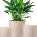 Vancasso Ceramic Plant Pots, 3 Piece Planters for Indoor Plants, 4.25+5.25+6.25 Inch Flower Pots with Drainage, Plant Pots Indoor for Succulent, Pothos, Snake Plant and Money Tree (Gray)