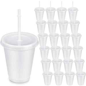 Roshtia 24 Pack Plastic Tumblers with Lid and Straw Reusable Cups Bulk Water Bottles Iced Coffee Travel Mug Cup for Birthdays Party Juices Adults Kids (White,16 oz)