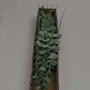 Fake Plants, 20Pcs Eucalyptus Stems Artificial Flowers, Fake Eucalyptus Leaves Stems, Plastic Grey Green Touch Leaf Branches for Home Office Flowers Bouquet Centerpiece Wedding Decoration