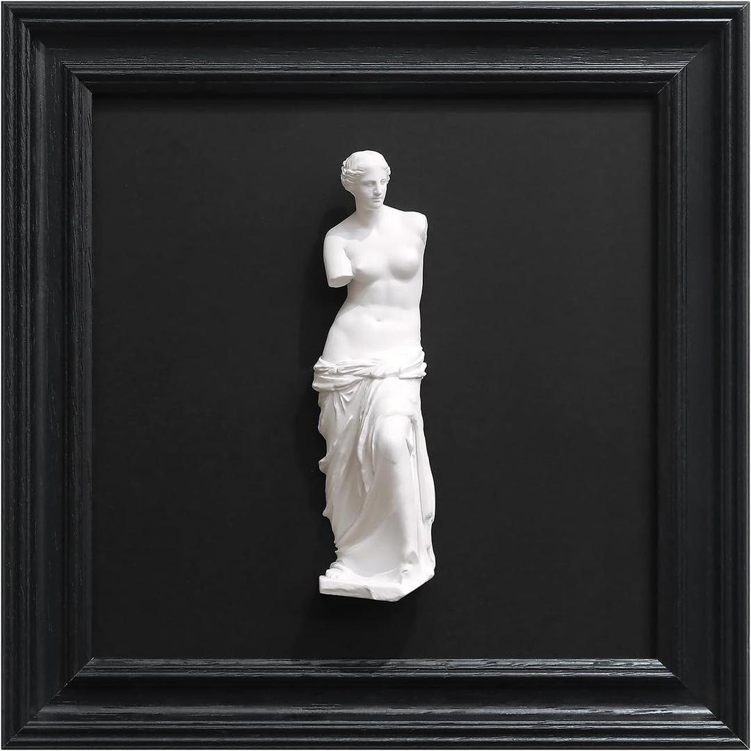 FOLKOR LIFE Framed Black and White Wall Art Sculpture Venus de Milo, Greek Roman Mythology Goddess Aphrodite Statue Framed Plaster Relief Wall Decor for Living Room, Hallway, Entryway Decoration