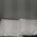 MIULEE 16x16 Inches Pillow Inserts Pack of 2, Decorative Throw Pillow Inserts for Couch