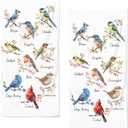 qiuhuang Colorful Bird Kitchen Towels Set of 2 Farmhouse Red Birds Hand Towels Absorbent Floral Hand Towels for Bathroom Bird Lovers Gym Hotel Home Washcloth 28.7X 13.7 Inch Winter Kitchen Towels