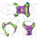 PHOEPET No Pull Dog Harness, Unique Colors Reflective Adjustable Dog Vest, with Soft Training Handle Metal Clips for Dogs (Green Base & Purple Straps,M)