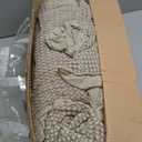 Levtex Home Mills Waffle King/Cal King Quilt Set (106x92in) with 2 Pillow Shams (36x20in) - Taupe - Cotton Waffle King Size Quilt Bedding Set - Lightweight, Soft, Pre-Washed