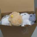 Skylety 24 Sets Pcs Adopt a Cat Favors Small Stuffed Plush Cats Bulk with Foldable Puppy Boxes Adoption Cards White Fences and Paper Sign for Adopt a Pet Theme Birthday Party Supplies Gifts