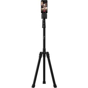 Pivo 63" Extendable Cell Phone & Camera Tripod with Sturdy, Lightweight, Portable, Foldable Stand for Video Recording with Universal 1/4"" Thread for DSLR, Smartphone, Action Camera & Pivo Pods