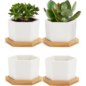 OAMCEG Succulent Pots-4 inch Pots for Plants,4 Pack Small Ceramic Plant Pots,White Succulent Planter with Bamboo Tray- Plants Not Included