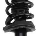 TRQ Rear Shock & Spring Strut Assembly