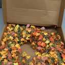 22 Inch Fall Wreaths for Front Door Artificial Orange Eucalyptus Berry Autumn Wreath with Daisy Jasmine Flowers Farmhouse Fall Flower Wreath for Front Door Outside Indoors