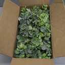 Dahey Fake Eucalyptus Plants Indoor for Farmhouse Home Decor Artificial Faux Plants in Rustic Rectangular Pots Table Centerpiece for Bathroom Office Living Room Shelf Laundry Decor, 7" L x 4" H