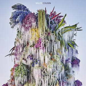 Wilco Cousin, Audio CD