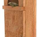 Tree Frog House, Outdoor Tree Frog Habitat, Handmade in The USA