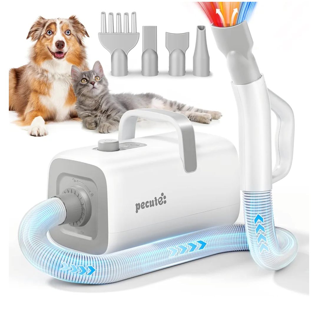 High-Velocity Dog Hair Dryer with Cool-Warm-Hot Cycle Mode, Dog Blow Dryer with Adjustable Speed & Temp, 4 Nozzles, Low Noise Pet Dryer for Grooming, Heat Resistant Hose