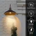 Dusk to Dawn Outdoor Barn Light Fixture, 16 Inch Dome Large Wall Sconce Farmhouse Exterior Wall Mount Light for House Garage Patio Doorway, 2 Pack