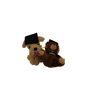 2 Pack Graduation Bear Class of 2025 and Puppy with Cap and Diploma 10 in Tall