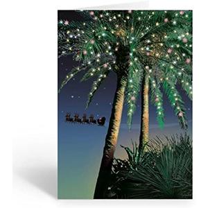 Stonehouse Collection Holiday Palm Santa Flyby Tropical Christmas Cards, 18 Boxed Christmas Cards and Envelopes, USA Made (Standard)