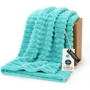 Bedsure GentleSoft Blue Fog Fleece Blanket for Couch - Cozy Soft Blankets for Women, Cute Small Throws for Girls, 50x60 Inches