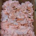 AVIVIHO 65pcs Fake Flowers Blush Hydrangea Artificial Flowers Bulk (Not Squished, No Steaming Need) Silk Flowers with Stems for Wedding Decor,Home,Baby Shower,Table Centerpieces Decoration (Medium)