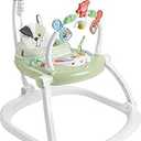 Fisher-Price Baby Bouncer SpaceSaver Jumperoo Musical Activity Center with Lights Sounds & Developmental Toys, Puppy Perfection