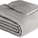 THXSILK Mulberry Silk Blanket, 100% Pure Silk Filling Comforter, Queen Size Blanket for Bed Camping Sofa, Soft Lightweight Cozy for All-Season, Grey (Queen(90"x90"))