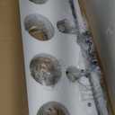 2 Light Modern Bathroom Light Fixtures Over Mirror (LED Bulbs Included), Black Gold Vanity Lights for Bathroom Wall Sconces with Clear Globe Glass Glass Shades