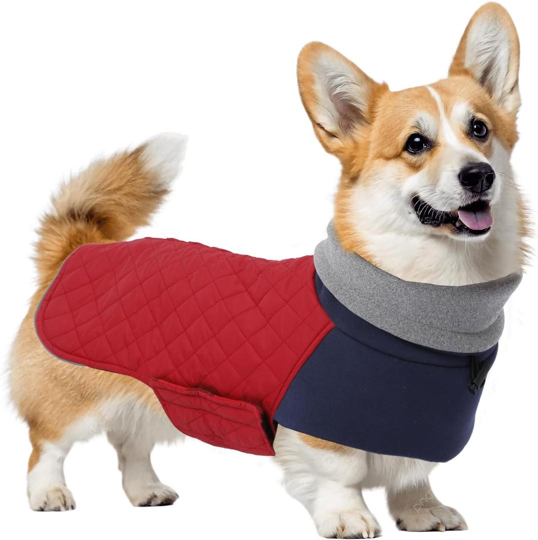 Geyecete Corgi Sweater for Dogs Corgi Clothes,Miniature Corgi Coat,Corgi Jacket for Dogs Warm Waterproof Windproof,High Neckine String Holes-Red-L
