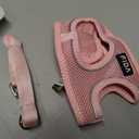 Fida Comfy Dog Harness with Leash, Cat Vest Harness Escape Proof, Breathable Lightweight Soft Mesh, Adjustable Reflective Step-in Harness for Puppy Toy Breeds & Extra-Small Pet (XXS, Pink)