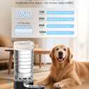 Heouvo 2.5 Gallon Automatic Dog Water DispenserWide Mouth for Easy Hand-in CleaningRemovable Stainless Steel Bowl, Gravity Refilling Large Capacity for Cats and Dogs, Multi-Pet Homes