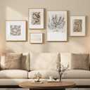 Framed Matisse Abstract Neutral Wall Art, 5 Piece Large Beige Canvas Prints Set, Modern Minimalist Geometric Botanical Paintings for Living Room, Bedroom, Hallway, Home Office, Guest Room, 8x10x1Pcs+12x16x2Pcs+16x16x1Pcs+16x24x1Pcs