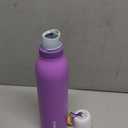 Owala FreeSip Twist Insulated Stainless Steel Water Bottle with Straw for Sports and Travel, BPA-Free, 24-oz, Purple/Purple (California Grapevine)