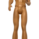 Barbie Ken Beach Doll with Blond Hair And White Dog