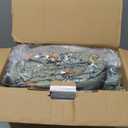 CASAAGUSTO Queen Comforter Set, 7 PCS Green Butterfly Floral Comforter Set with Flowers Leaves Pattern, Soft Seersucker Design All Season Queen Size Bedding Set(90"X90")