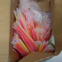 YixangDD 1000 PCS Ultra Bright Glow Sticks, 8 Inch Glow Sticks Bulk Party Pack, Light Up Sticks for Glow Bracelets, Necklaces, Concerts, Christmas, Party Supplies with 1000 Connectors