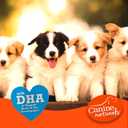 Canine Naturals Puppy Chicken and Rice Chew - Rawhide Free Puppy Treats - Made with USA Chicken - All-Natural & Easily Digestible - 2 Pack of 7-Inch Rolls for Puppies (EXP 12/31/25)